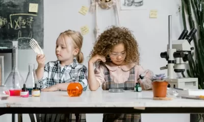 Rankings & Comparisons in education